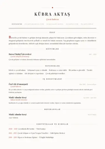 Çocuk Bakıcısı CV Örnekleri cv indir